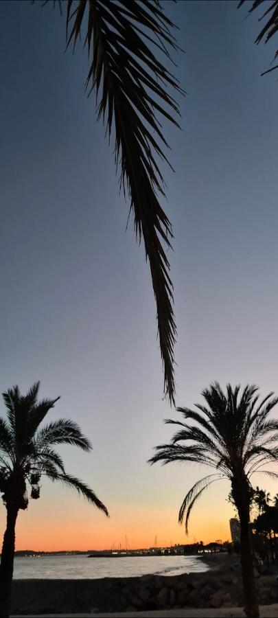 Villa Ange Azur Villeneuve-Loubet Eksteriør bilde